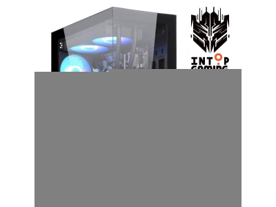 PSV Ryzen 5 5600X 16GB 1TB